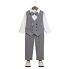 23866 grigio