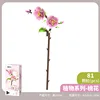 655074 peach blossom