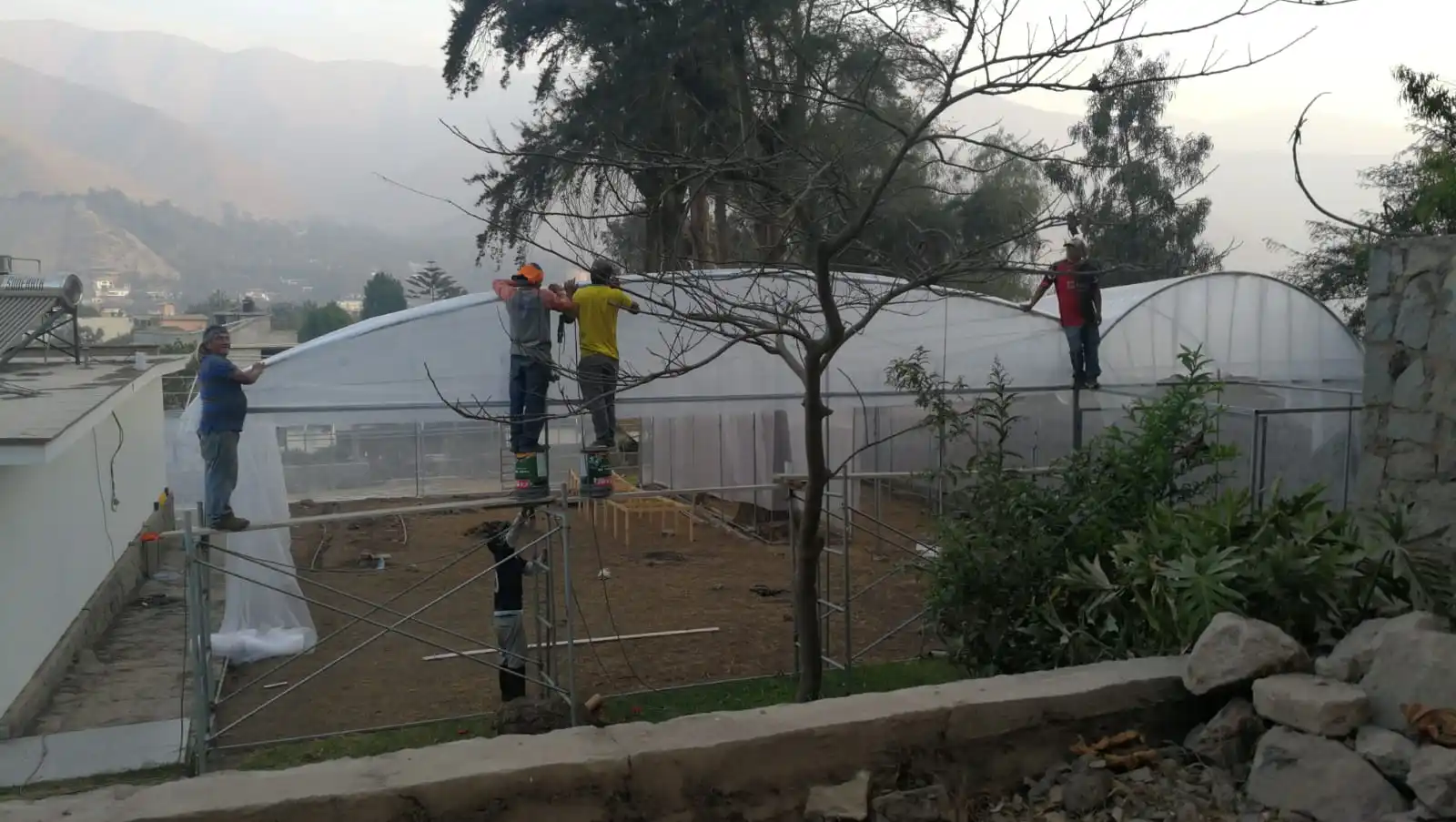 Greenhouse