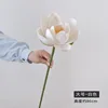 Large White Lotus
