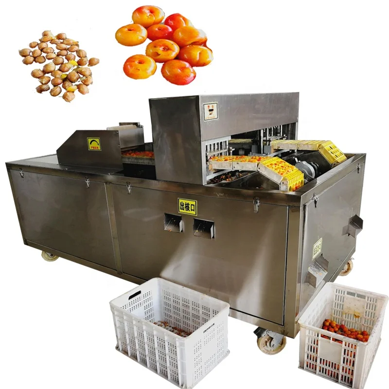 Dénoyauteur En Acier Inoxydable Pour Cerises, Olives, Jujubes - Avec Ressort Automatique, Facile à Nettoyer - 7