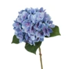 Blue 17