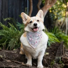 Manufacturer Wholesale Double-sided Pattern Dog Bandanas Multi-design
