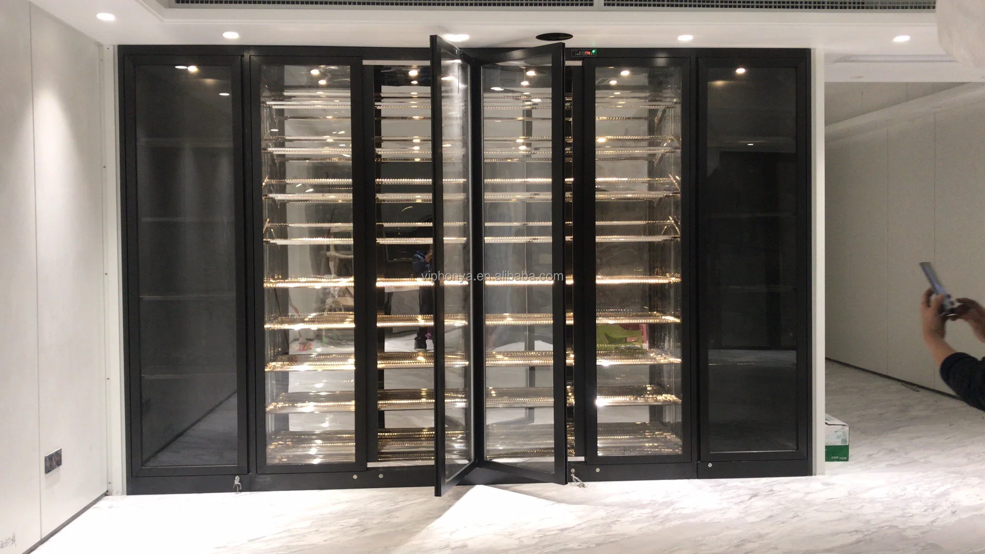 with Fingerprint Lock Advanced Custom Electric Wine Coolers with Compressor Thermostatic Freestanding Wine Refrigerators Cabinet