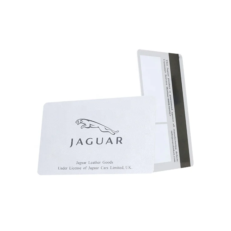 Free Sample Customized Plastic Magnetic Stripe Membership Cards Printing PVC Gift VIP Card
