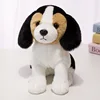Beagle accroupi 22cm