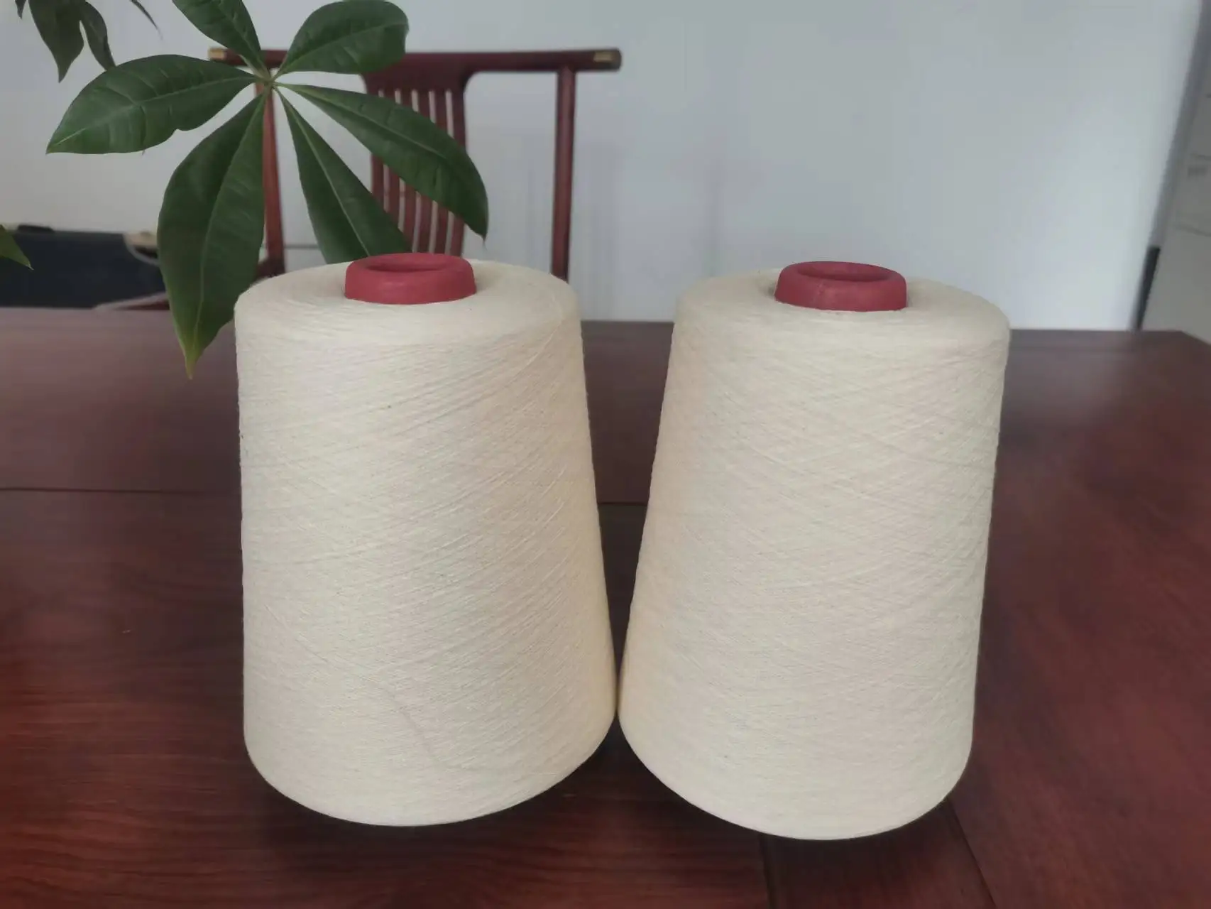 Biodegradable Recycled Cotton 40s Polylactic Acid Pla Yarn For Machine