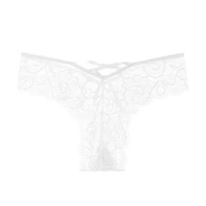 Women's Sexy Transparent Mesh Panties 3D Thong Thin Strap Embroidery Bow Floral Low-Rise Nylon Fabric Plain Dyed Cross-Border