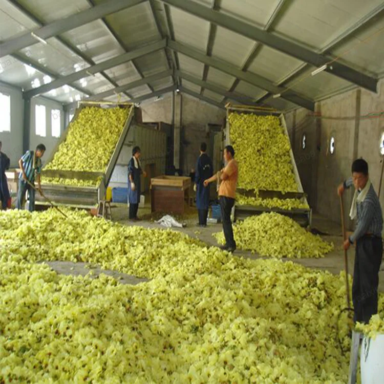 Ginger Washing and Drying Machine Drying Machine Oven Turmeric Ginger Dryer