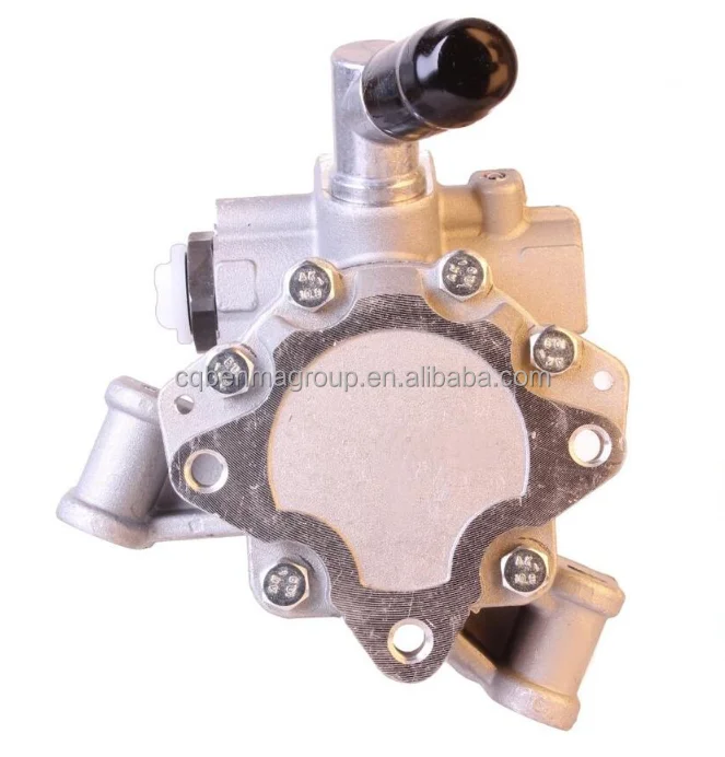 Auto Power Steering Pump Assembly Replacement A0024666901 A0024667001