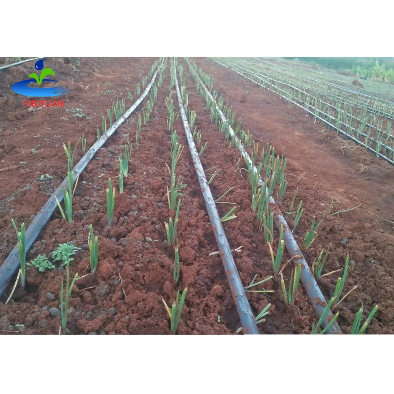 Agriculture Custom Drip Irrigation System for Farms apple Orchards Avocado Trees Drip Tape 16 mm 1meter Space Drip Line