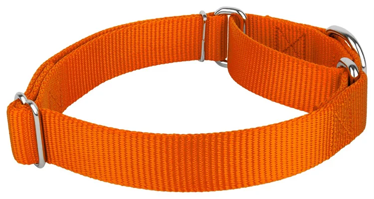 Custom Pattern Logo Polyester Nylon Outdoor Training Martingale Dog Collar Chain Adjustable Custom Martingale Dog Collar
