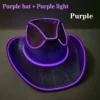 Wired version - Purple cap + Purple light