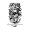 T-079