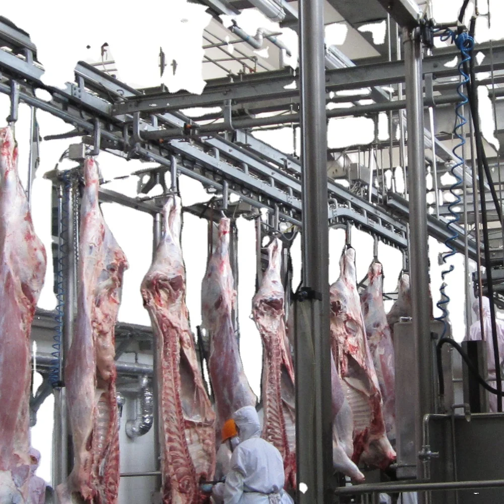 Slaughterhouse equipment for halal cattle slaughterhouse