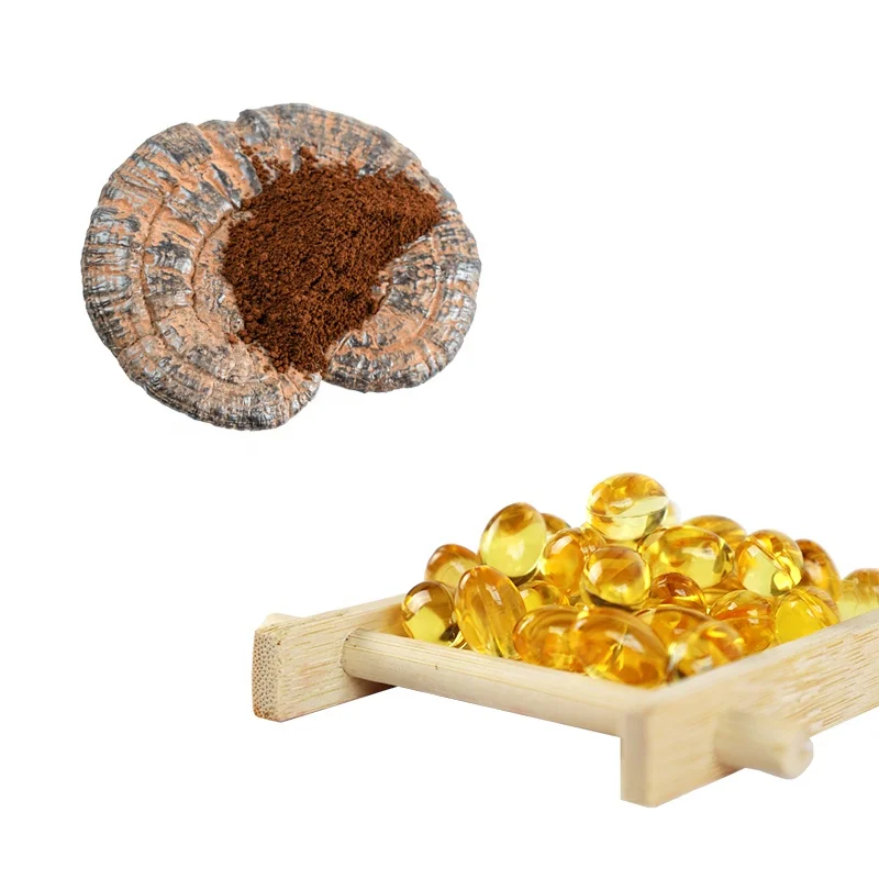Ganoderma Extract Oil Capsules Reishi Mushroom Extract Plant Ganoderma