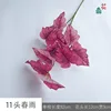 11 Lluvia de primavera JH Rose Red