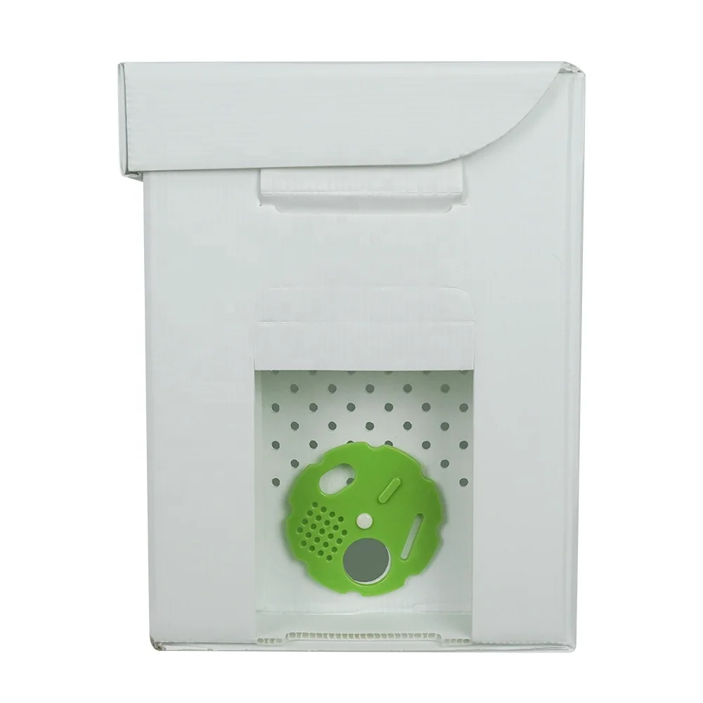 Customized PP 5 Frames Langstroth Cardboard Nuc Box Plastic Beekeeping Nucleus for Bees