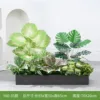 hc-Y80-35 es adecuado para jardineras de 80 cm.