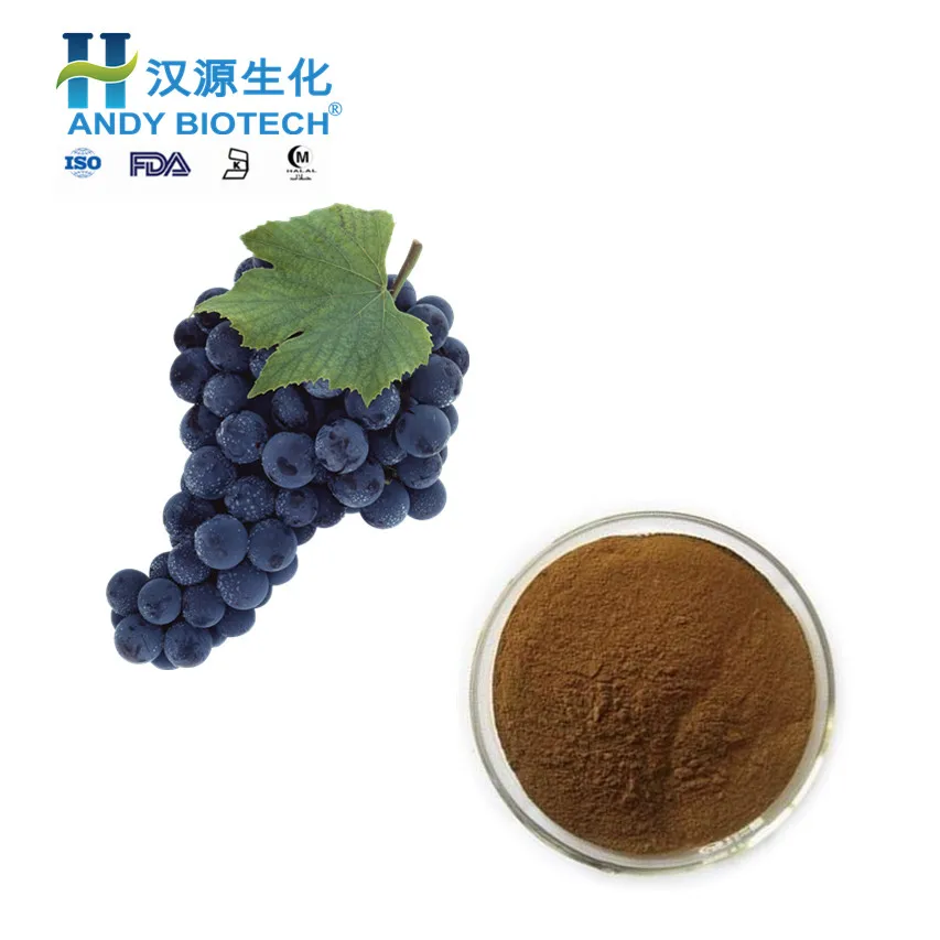 Grape seed Extract 1.jpg