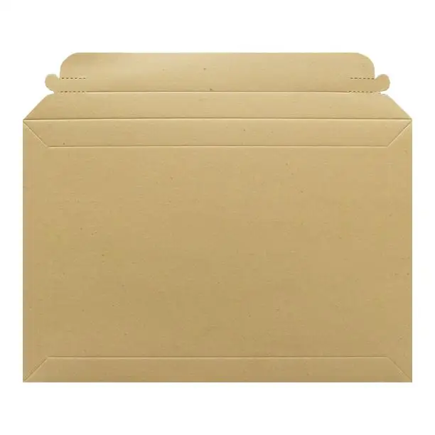 cardboard envelope 2.jpg