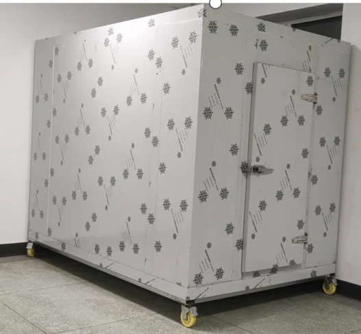 Walk in 20 square Meters Container Freezer Cold Storage Room Custom Freezing Room with Refrigeration Equipment Freezer