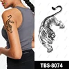 TBS-8074