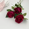 Rose Red