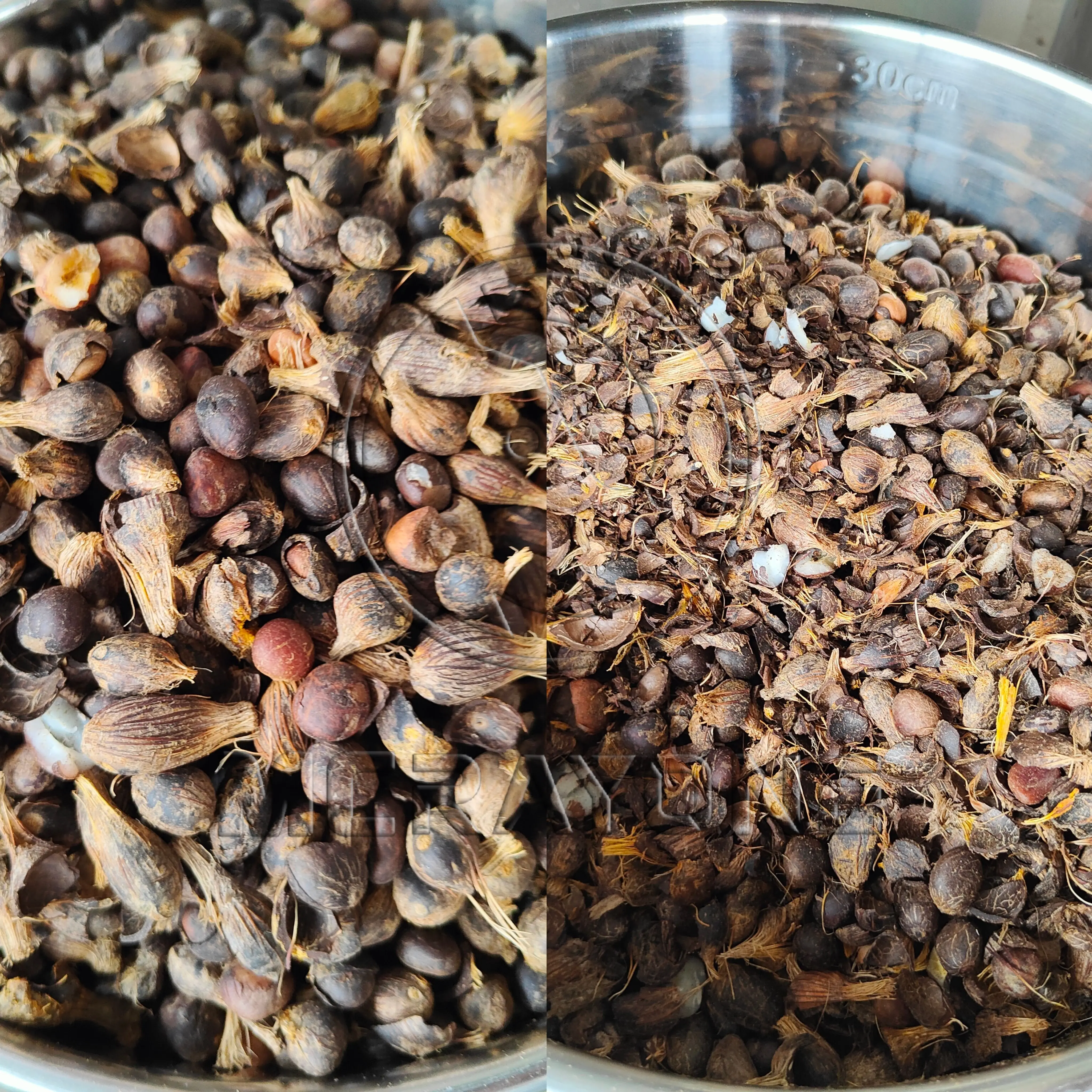 Palm Kernel Oil Extraction Machine Palm Kernel Oil Press Machine Palm Kernel Shell Separator Machine
