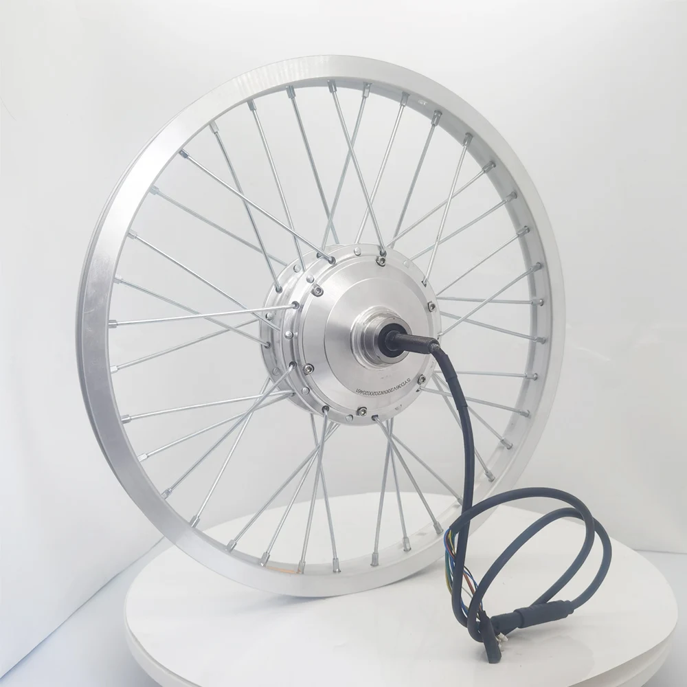 20 Inch Brushless Geared Hub Motor for Electric Bicycle, 36V/48V