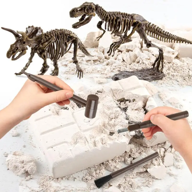 Wholesale Meu dinossauro t-rex xj244, fósilos esqueleto para compras From  m.alibaba.com