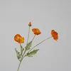 LT naranja
