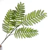 Jacaranda (light-colored)