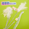 Fairy Cat Teasing Stick Four-Piece Set in Color