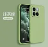 Verde Matcha