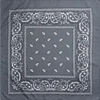 Gray polyester
