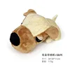 Big-headed animal - dog