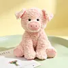 Pink Pig