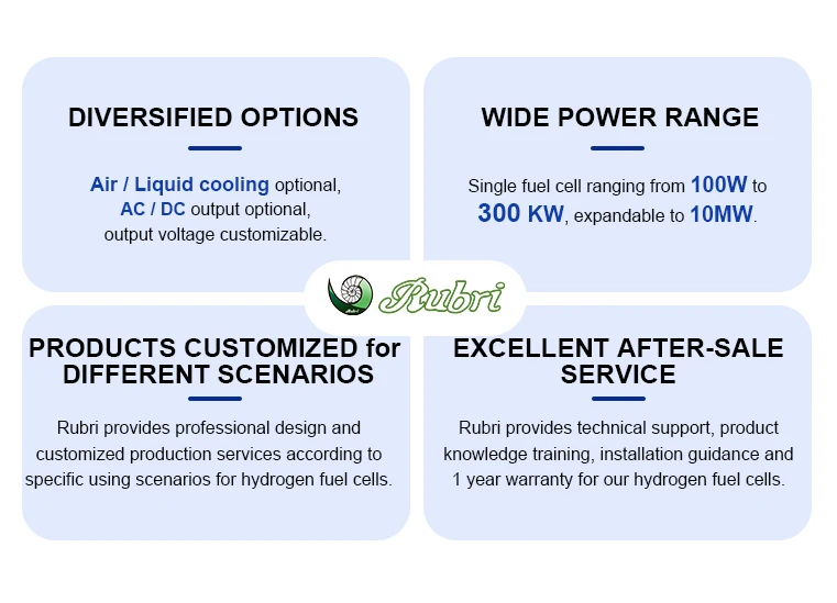 Light Weight Hydrogen Fuel Cell Stack - Air Cooling PEM H2
