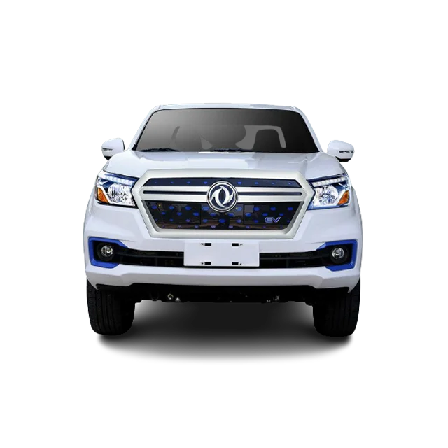 Fashion Electric Pickup Truck RICH 6 Zhengzhou Dongfeng Brand