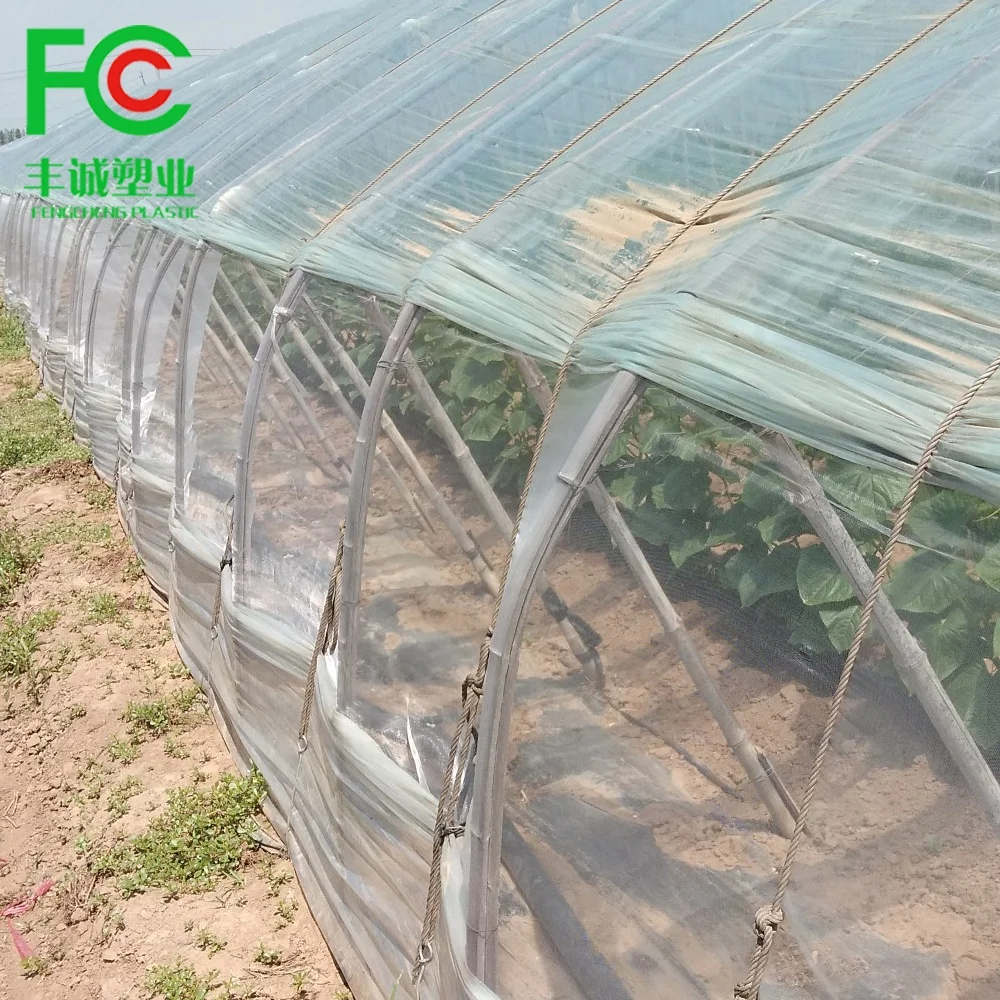 120g Polyethylene Anti-Insect Mesh Net for Fruit Fly Protection in Vegetable Gardens