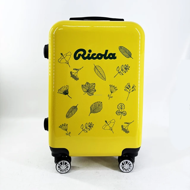 Kids Double Pattern Rolling Luggage Lightweight Waterproof ABS Suitcase Soft Handle Polyester Lining Cartoon Perfect Gift for