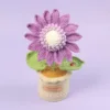 สีม่วง