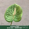 Upgraded plastic palm-green
