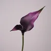 DARK PURPLE