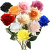 Rosa de tacto real 1