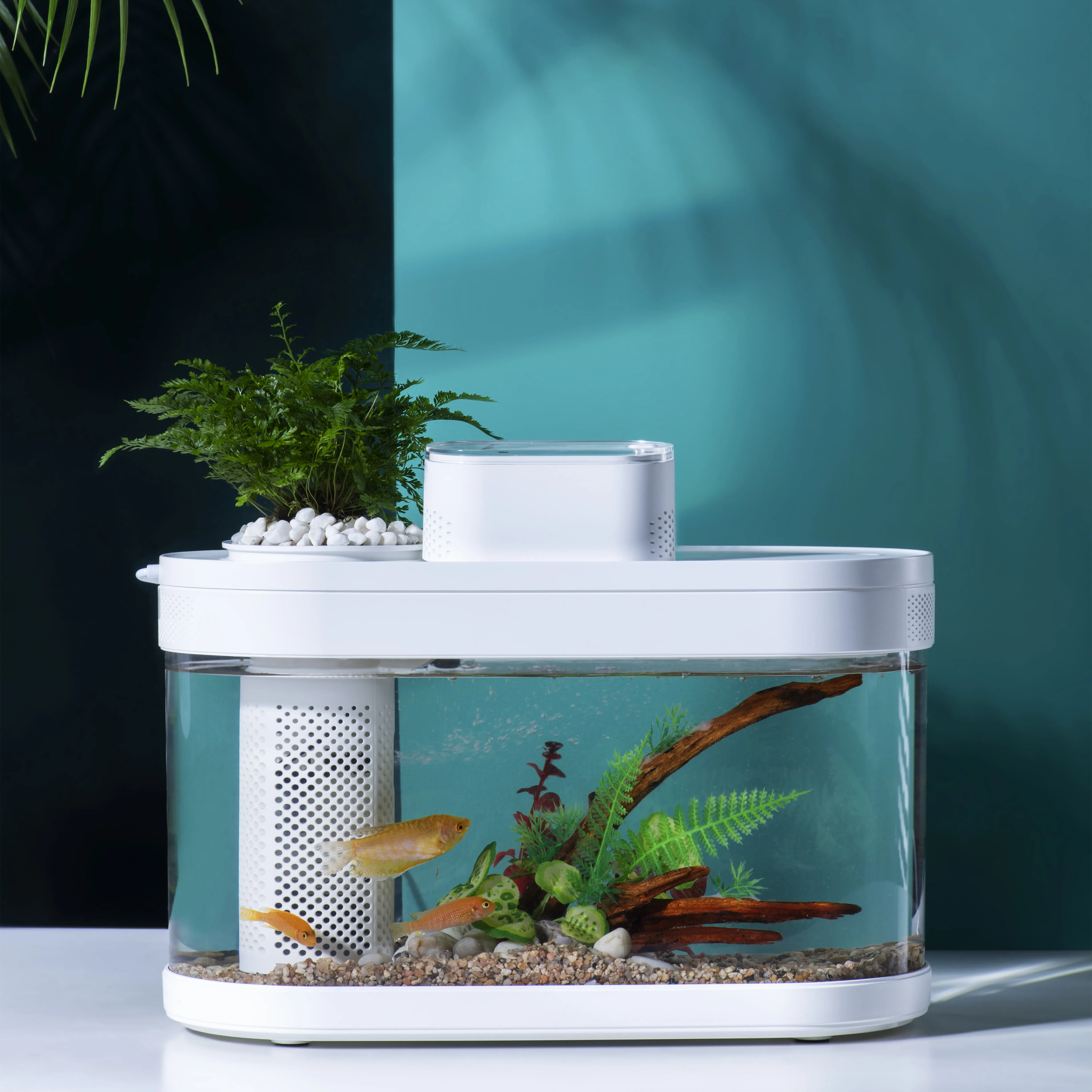 Xiaomi fish. Акваферма Xiaomi descriptive Geometry c180 Smart Fish Tank. Аквариум Xiaomi Geometry Fish Tank Aquaponics ecosystem (c180). Аквариум Xiaomi descriptive Geometry c180 Smart Fish Tank Pro. Акваферма Xiaomi descriptive Geometry.