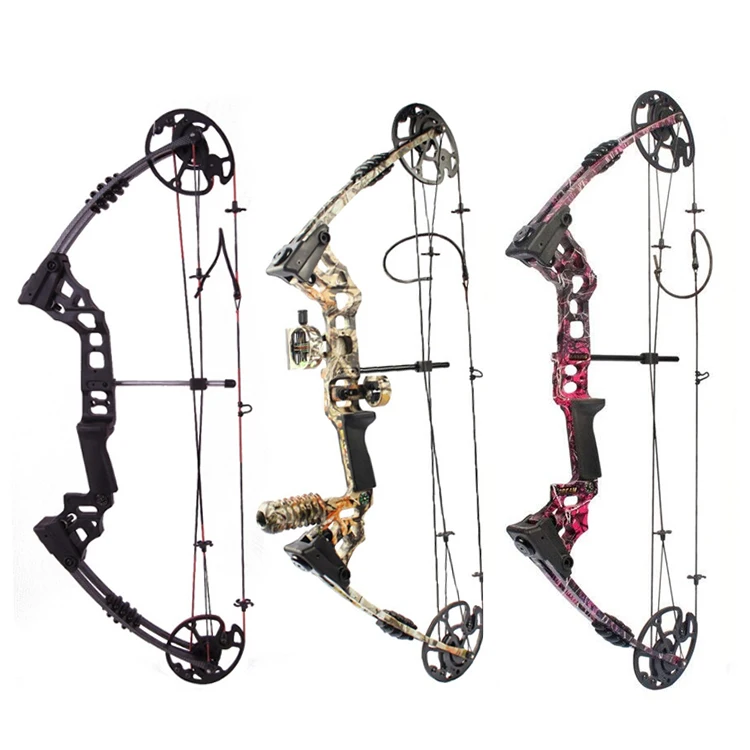 Hot Sale Archery Compound Bows Arrow Hunting Adjustable Draw Weight