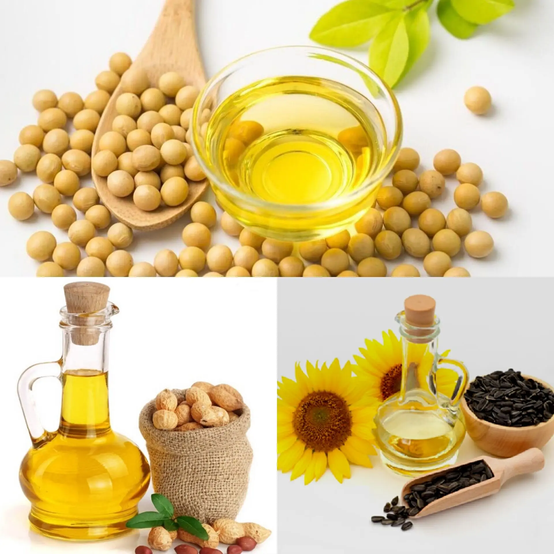 Небольшой соевое масло пресс-машина с фабрики по низкой цене 