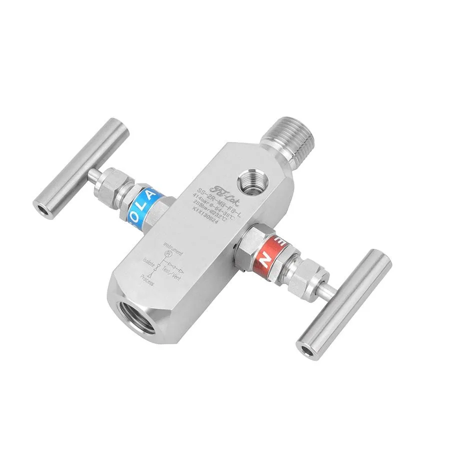 two handle needle valve 2 valve manifold block and bleed valve